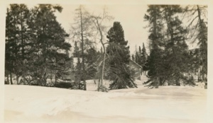 Image of Labrador Scientific Station through trees